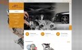 Diesel Particul Web Site